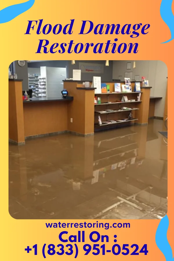 Flood Damage Restoration in Four Corners, MD