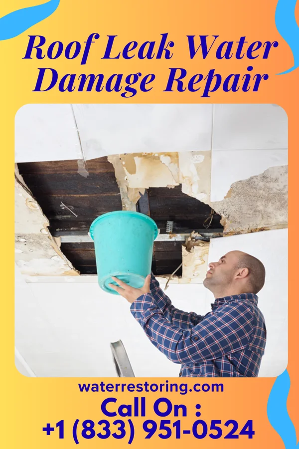 Roof Leak Water Damage Repair in Four Corners, MD